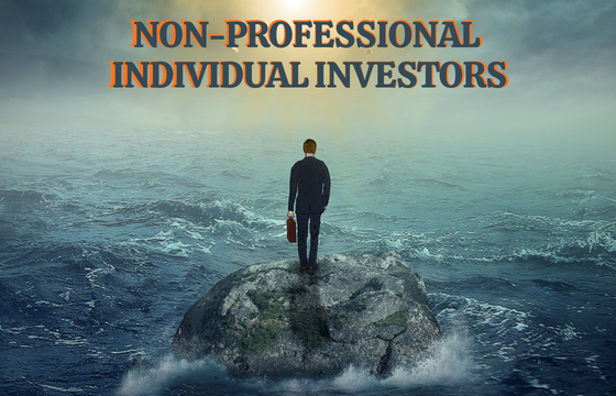 NON-PROFESSIONAL INDIVIDUAL INVESTORS