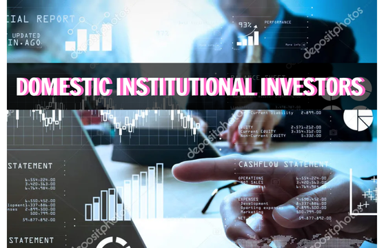 DOMESTIC INSTITUTIONAL INVESTORS