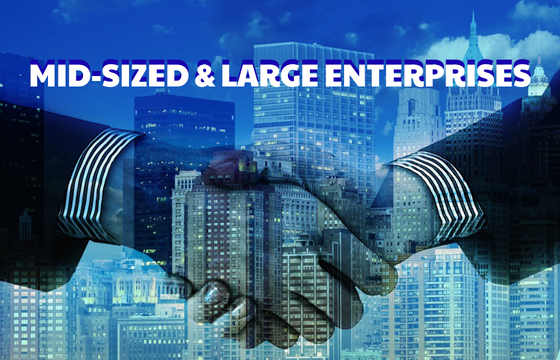 🏙 MID-SIZED & LARGE ENTERPRISES