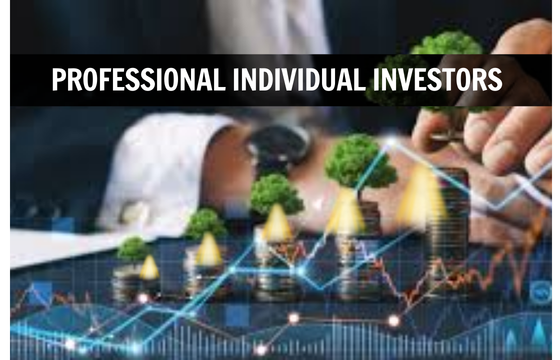PROFESSIONAL INDIVIDUAL INVESTORS
